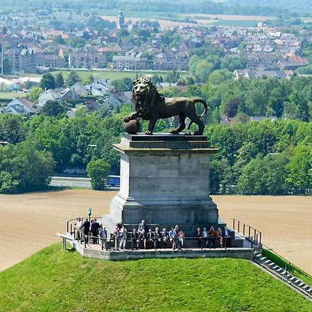 Saint Georges 31 - Pairi Daiza - Shape Mons *