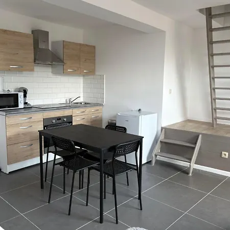 Saint Georges 31 - Pairi Daiza - Shape Mons *