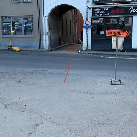 Saint Georges 31 - Pairi Daiza - Shape Mons Апартаменты