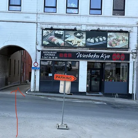 Saint Georges 31 - Pairi Daiza - Shape Mons Apartamento *