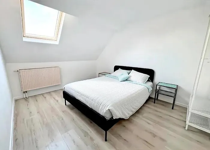 Saint Georges 31 - Pairi Daiza - Shape Mons *