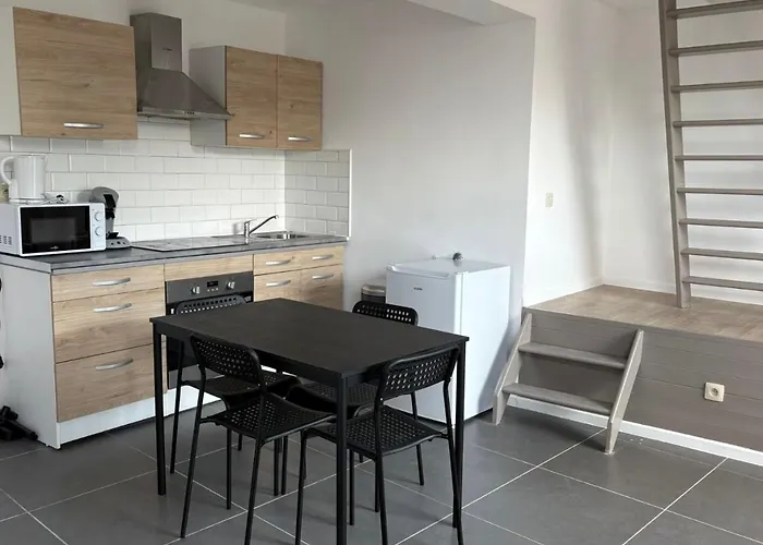 Saint Georges 31 - Pairi Daiza - Shape Mons *